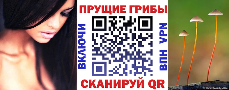 Псилоцибиновые грибы мухоморы  Абаза 
